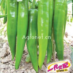 蔬菜與個(gè)人健康 如何善用蔬菜網(wǎng)產(chǎn)品庫打造均衡飲食