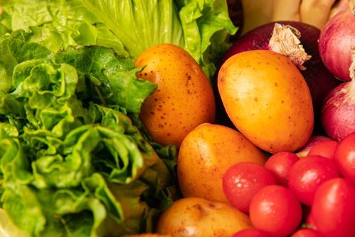 鮮·活 有機(jī)蔬菜在鏡頭下的自然之美