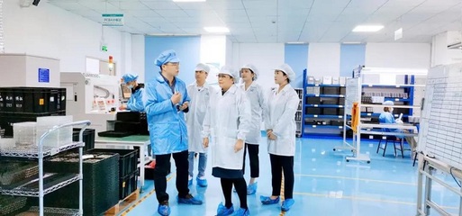 攜手共進，共創未來——深圳擔保集團蒞臨云里物里考察指導軟件開發工作